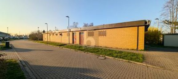 12-Zimmer Lagerhaus in Hildesheim, Germany, Nr. 316734 2