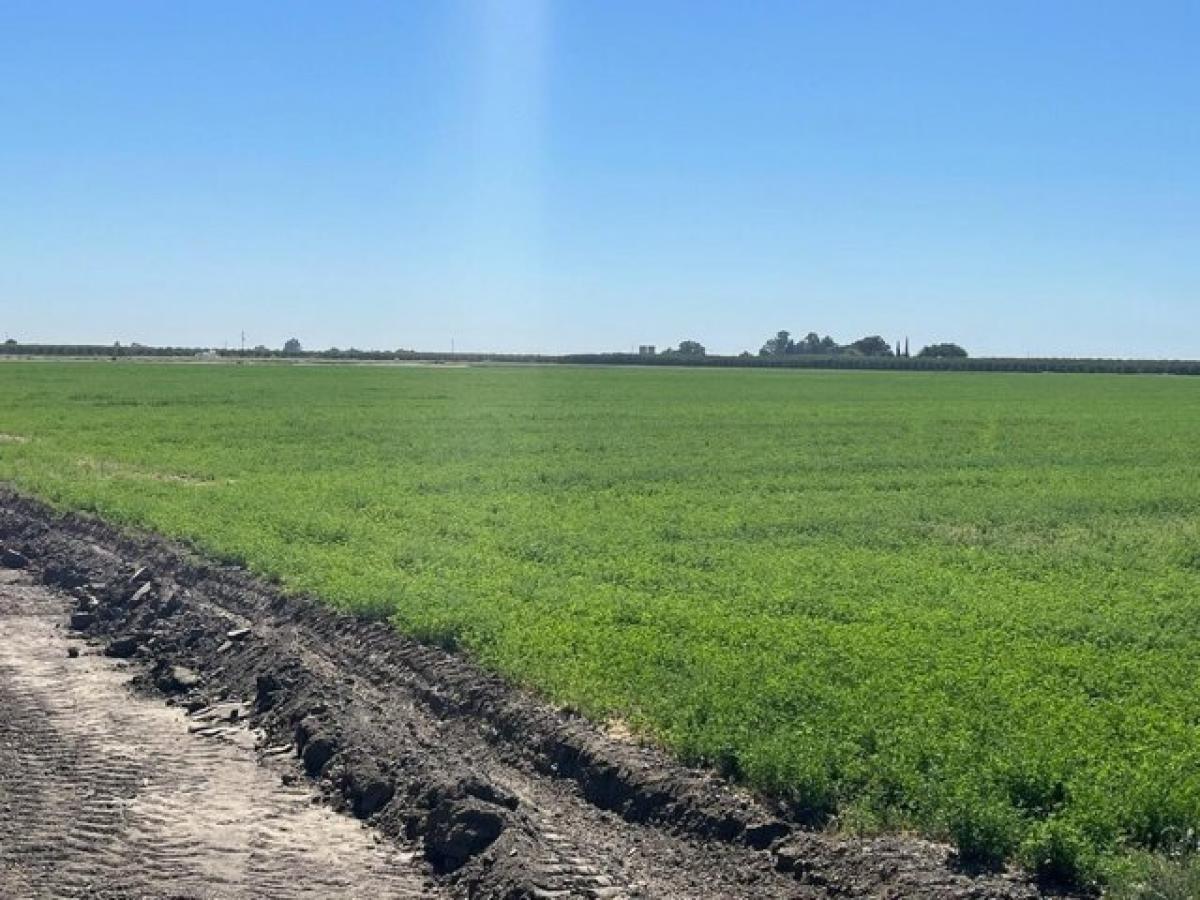  قطعة أرض في Dos Palos, USA رقم 474329