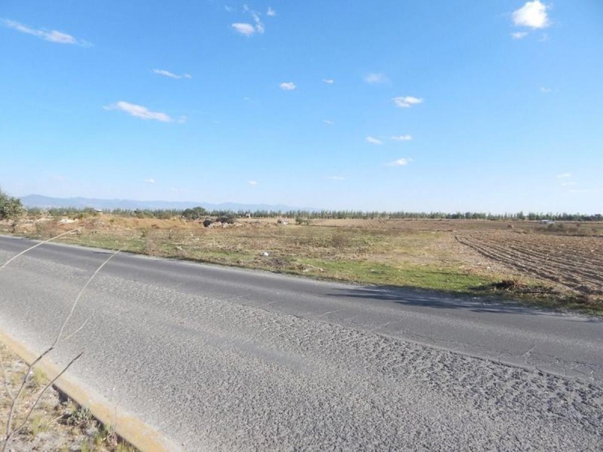  قطعة أرض في Mexico رقم 203472