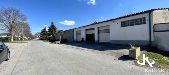 11 rooms House in Trautmannsdorf an der Leitha, Austria No. 227528 33