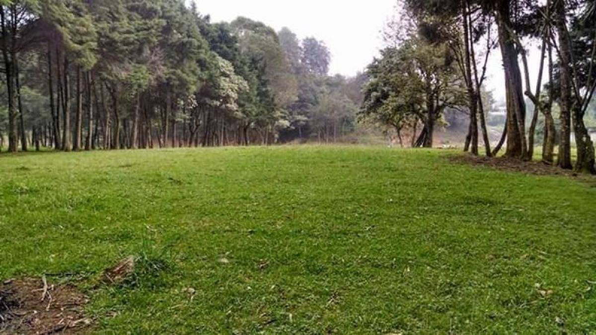  Land in Ezeiza, Argentina No. 46911