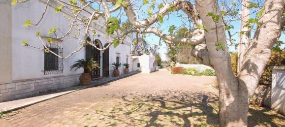 Casa T3 em San Donato di Lecce, Italy N.º 369809 14