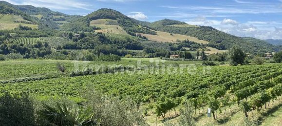 6 bedrooms House in Brisighella, Italy No. 148310 4