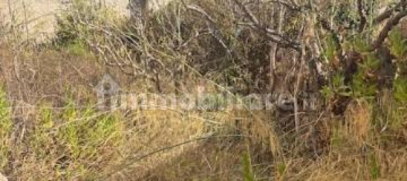 3 bedrooms House in Favignana, Italy No. 352154 11