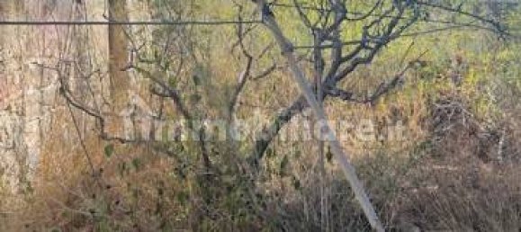 3 bedrooms House in Favignana, Italy No. 352154 12