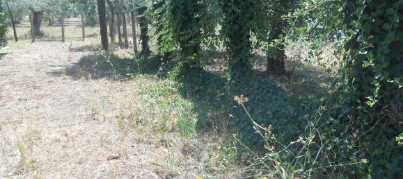 5 rooms House in Bonito, Italy No. 263026 11