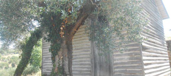 5 rooms House in Bonito, Italy No. 263026 12