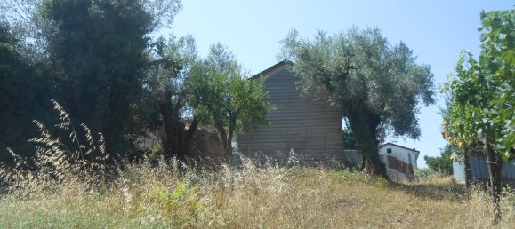 5 rooms House in Bonito, Italy No. 263026 20