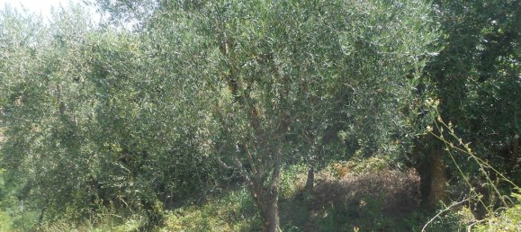 5 rooms House in Bonito, Italy No. 263026 15