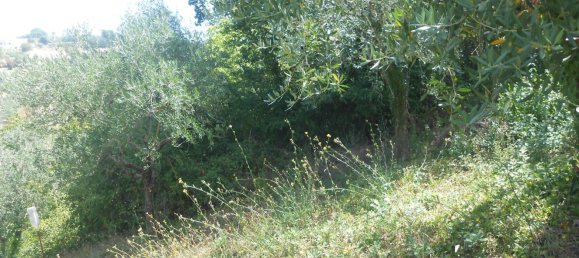 5 rooms House in Bonito, Italy No. 263026 17