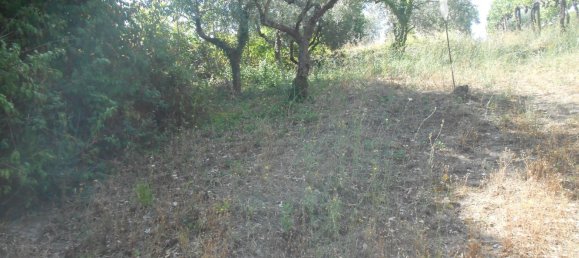 5 rooms House in Bonito, Italy No. 263026 18