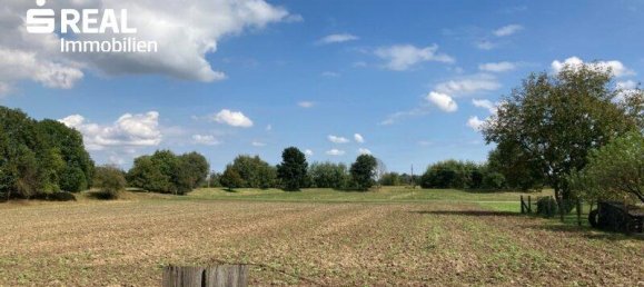 Casa de 5 habitaciónes en Eberau, Austria No. 63761 10
