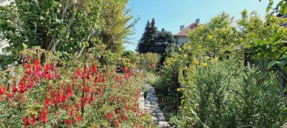 Land in Perchtoldsdorf, Austria No. 214715 13