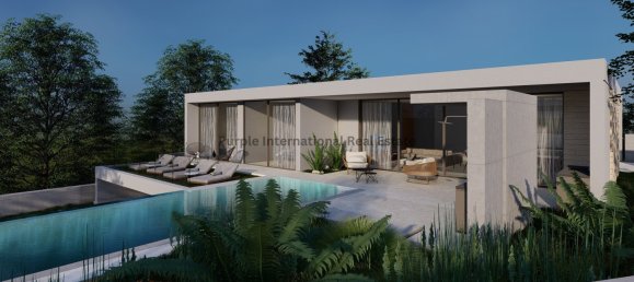 4 bedrooms Villa in Pegeia, Cyprus No. 1098 4