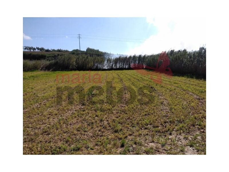 5920m² Land in Lourinha, Portugal No. 209157