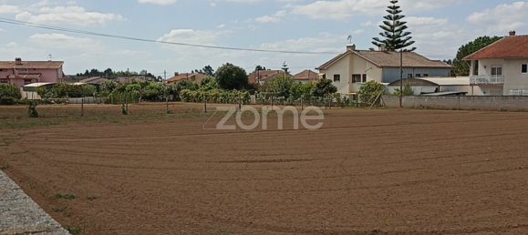 Land in Macinhata do Vouga, Portugal No. 82512 5