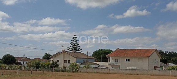 Land in Macinhata do Vouga, Portugal No. 82512 8