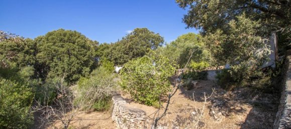 Finca de 3 dormitorios en Es Mercadal, Spain No. 1442 6