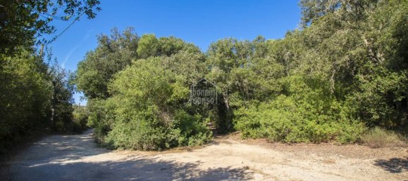 Finca de 3 dormitorios en Es Mercadal, Spain No. 1442 5