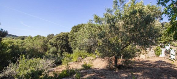 Finca de 3 dormitorios en Es Mercadal, Spain No. 1442 7