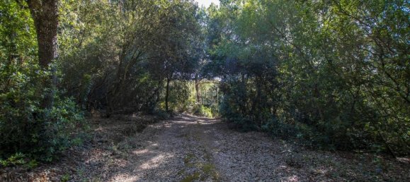 Finca de 3 dormitorios en Es Mercadal, Spain No. 1442 4