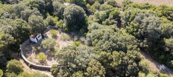 Finca de 3 dormitorios en Es Mercadal, Spain No. 1442 19