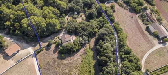 Finca de 3 dormitorios en Es Mercadal, Spain No. 1442 13