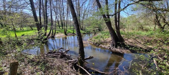 5 Schlafzimmer Haus in Chassignolles, France, Nr. 215056 18