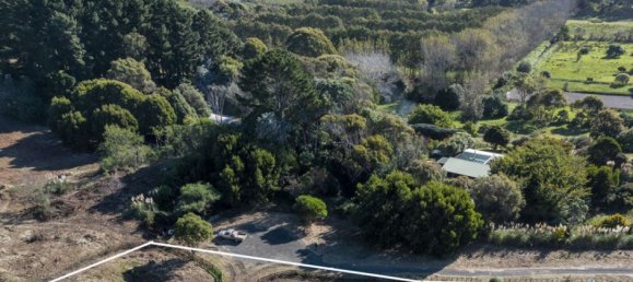 Terreno en Kapiti Coast, New Zealand 10100 m² No. 183 6