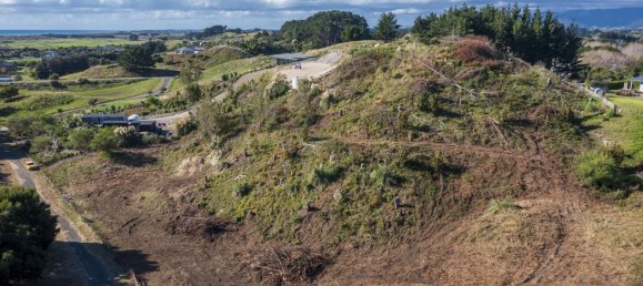 Terreno en Kapiti Coast, New Zealand 10100 m² No. 183 7