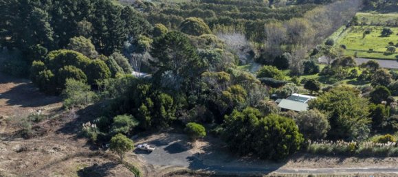 Terreno en Kapiti Coast, New Zealand 10100 m² No. 183 3