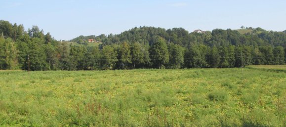 4 rooms House in Oberhaag, Austria No. 232049 6