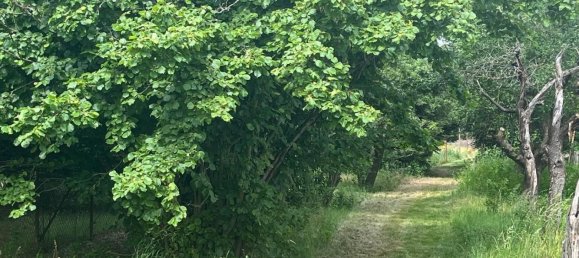 Terreno em Oder-Spree, Germany N.º 295770 4