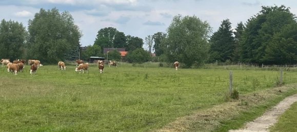 Terreno em Oder-Spree, Germany N.º 295770 3