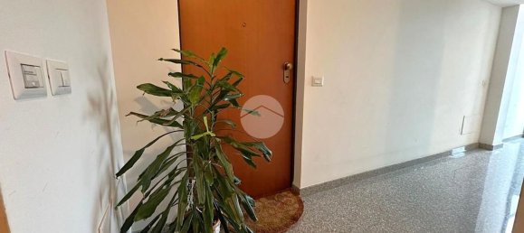 3 rooms Apartment in Grottammare, Italy No. 143307 2
