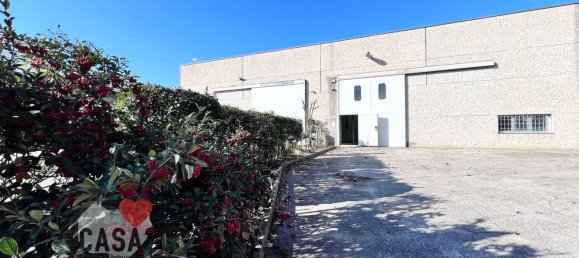 Lagerhaus in Bertinoro, Italy 535m², Nr. 324086 10