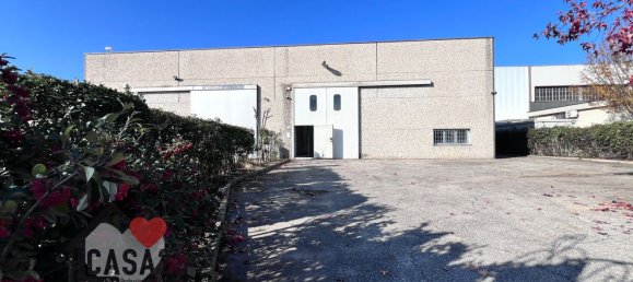 Lagerhaus in Bertinoro, Italy 535m², Nr. 324086 11