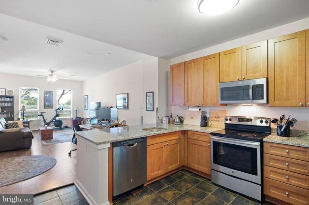 Estudio en Wilmington, USA No. 406676