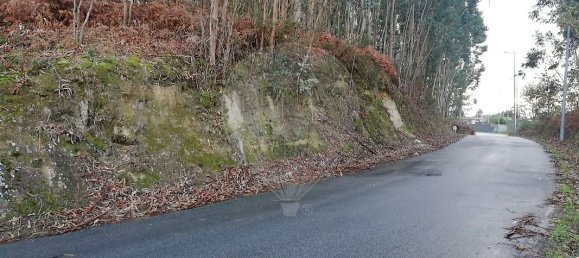 5 bedrooms House in Meinedo, Portugal No. 25129 13