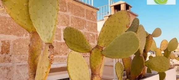 4-Zimmer Haus in Tricase, Italy, Nr. 308023 38