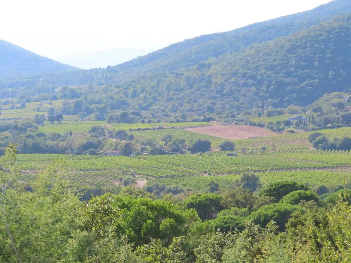 Grundstück in Collobrieres, France 991m², Nr. 120943
