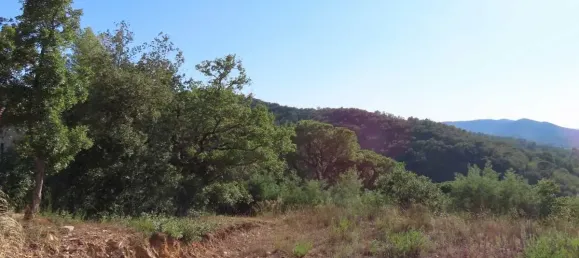 Grundstück in Collobrieres, France 991m², Nr. 120943 4