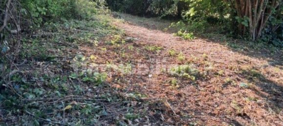 Grundstück in Bassano Romano, Italy 7710m², Nr. 260841 4