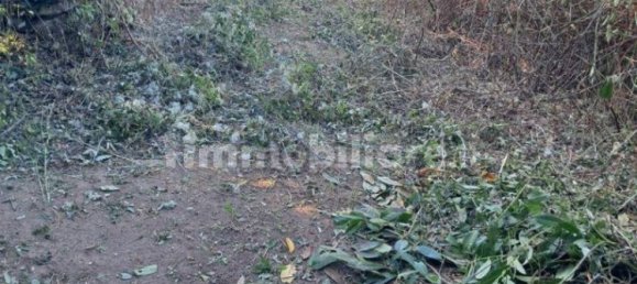 Grundstück in Bassano Romano, Italy 7710m², Nr. 260841 3