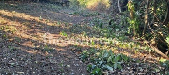 Grundstück in Bassano Romano, Italy 7710m², Nr. 260841 5