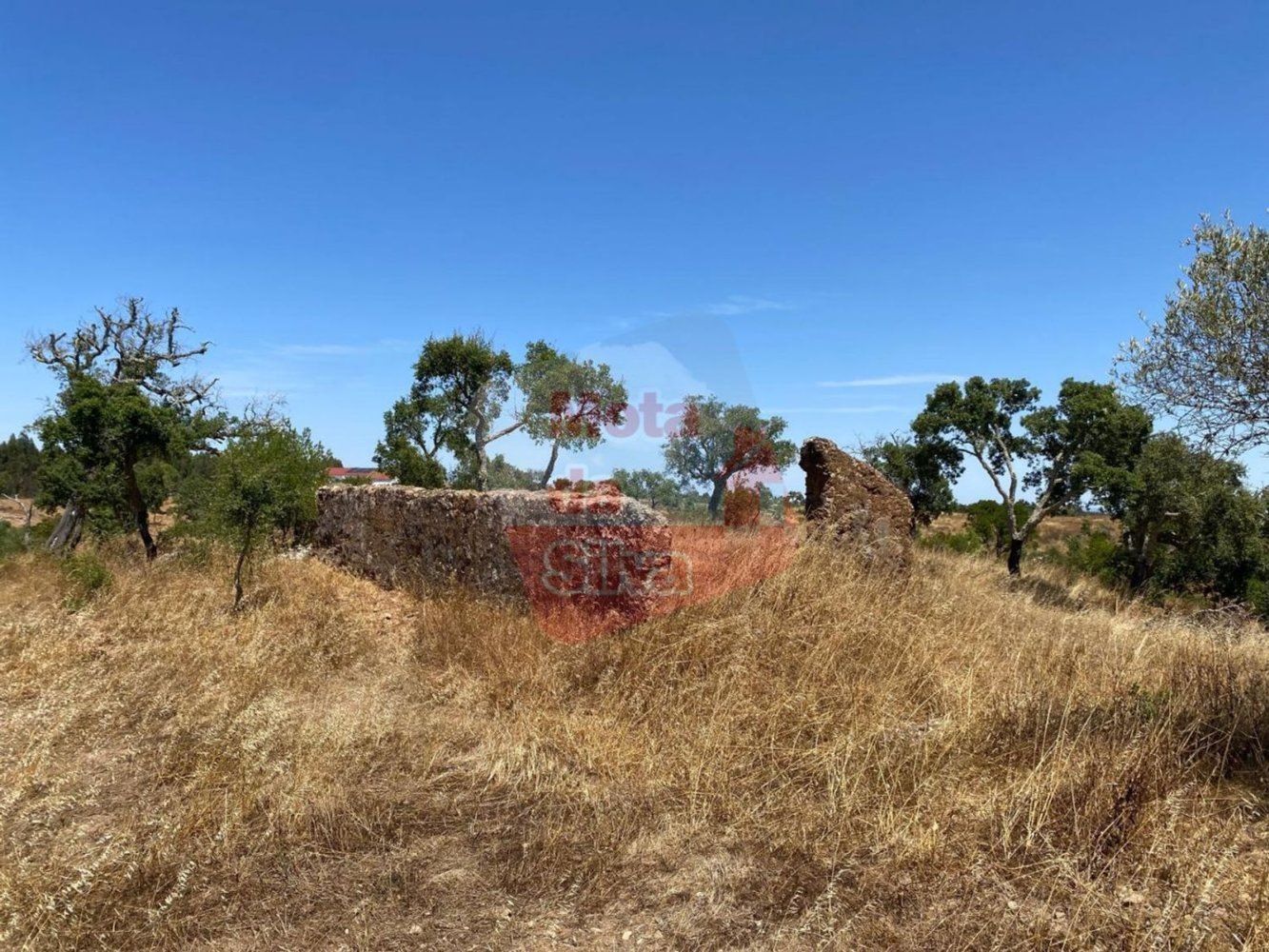 1 bedroom House in Santiago do Cacem, Portugal No. 266900