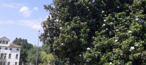 11 rooms Villa in Mira, Italy No. 162187 23