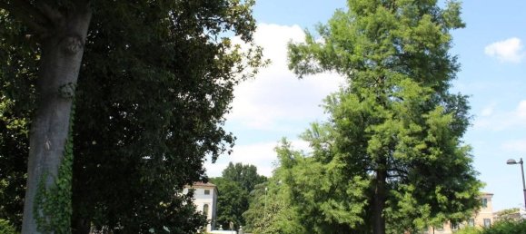 11 rooms Villa in Mira, Italy No. 162187 7