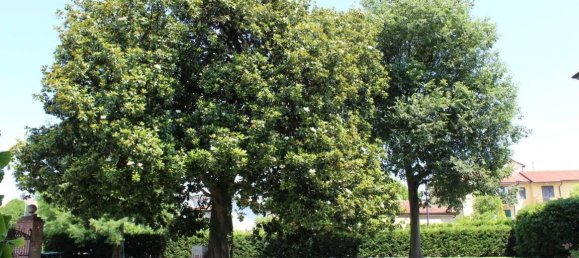 11 rooms Villa in Mira, Italy No. 162187 12