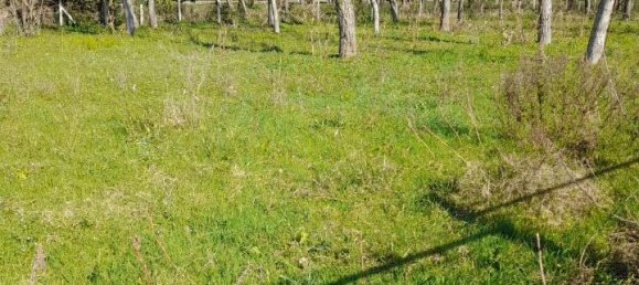 4 rooms Land in San Felice a Cancello, Italy No. 104245 3